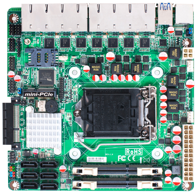 YNF592-Q170